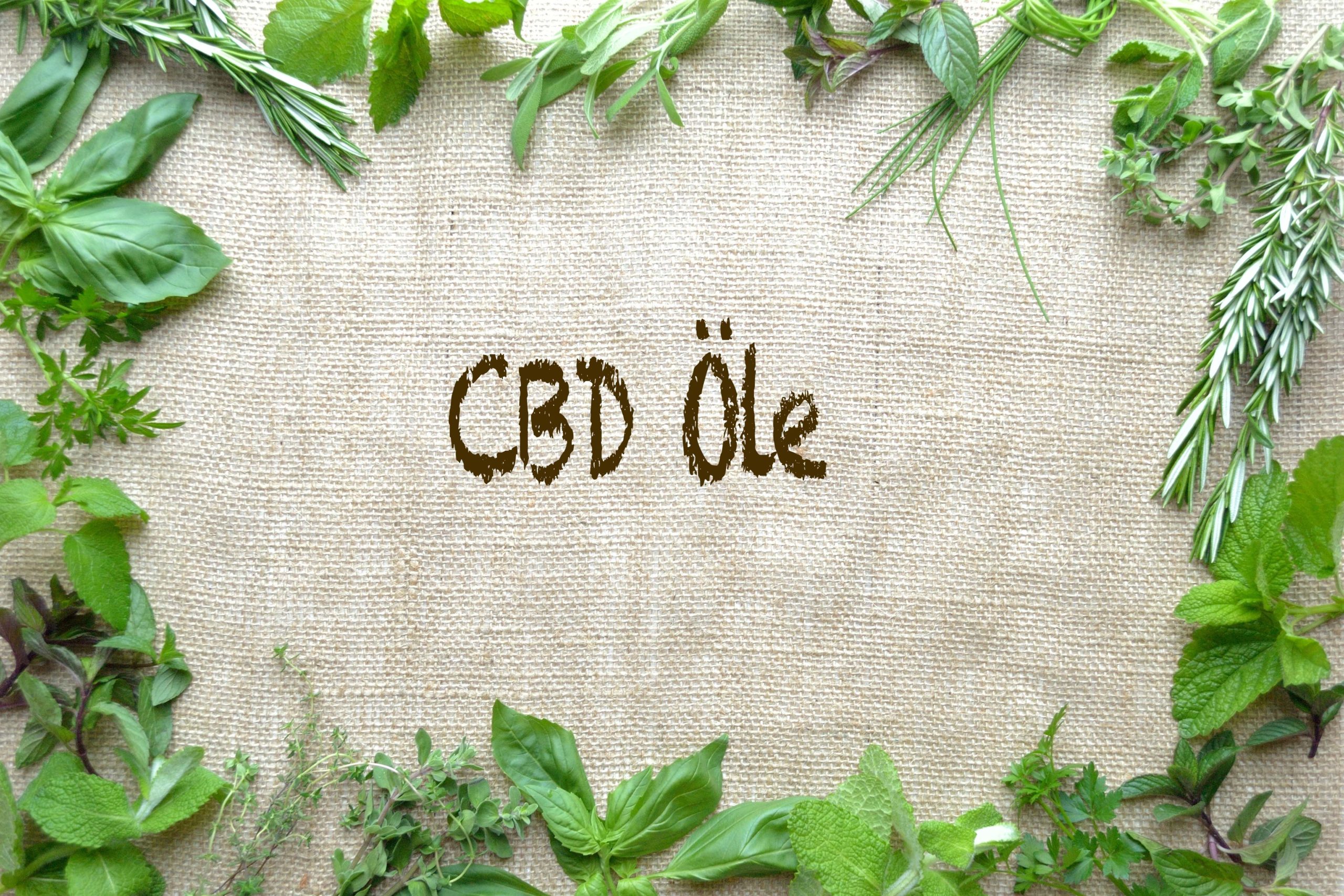 cbd öle