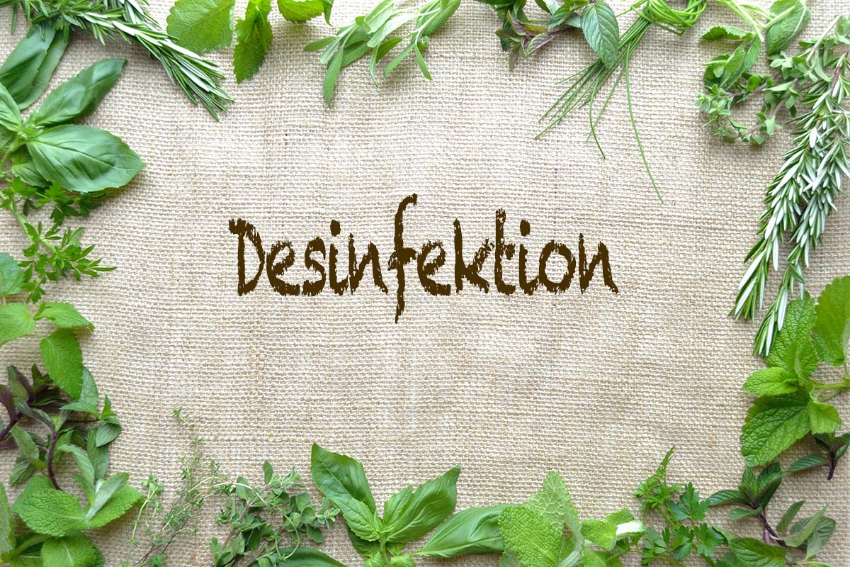 desinfektion